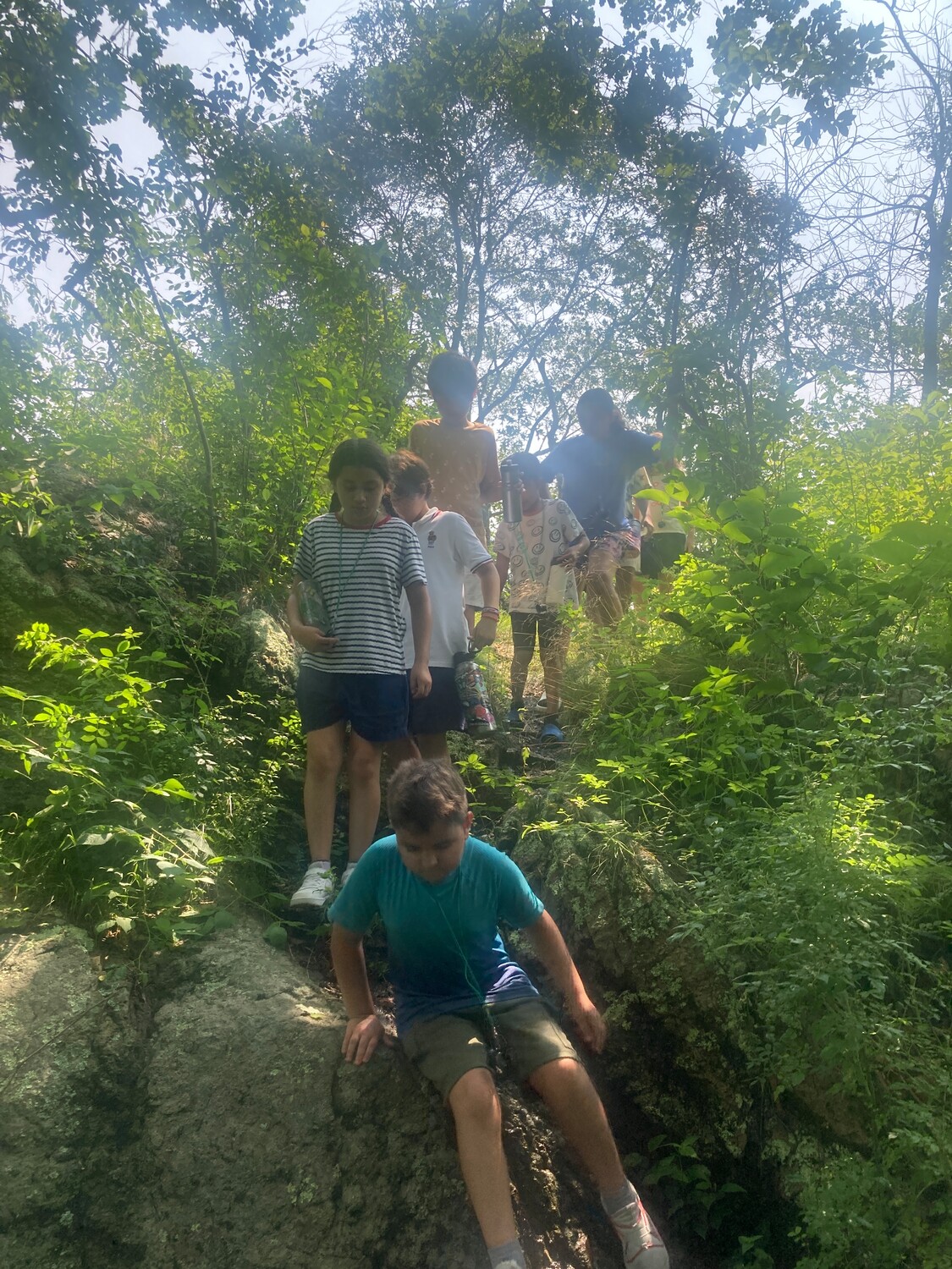 Family Tree Walk Summer Series! Hey Rhody Media Co.